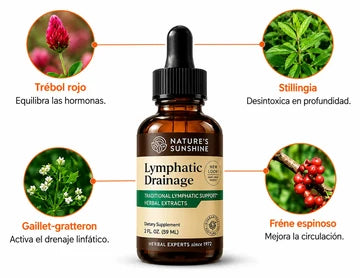 LYMPHATIC DRAINAGE: ELIMINA LA INFLAMACION Y LOS LIQUIDOS RETENIDOS